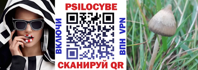 Псилоцибиновые грибы мицелий Липецк